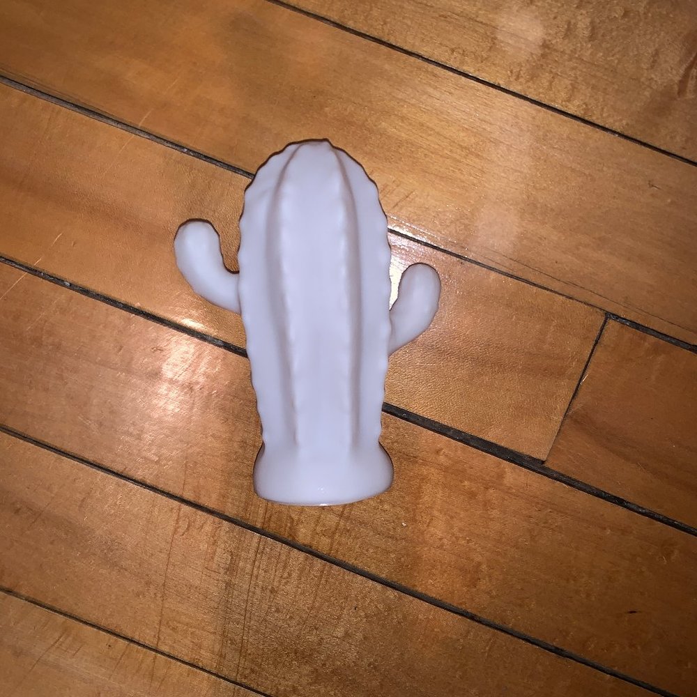 battery powered cactus light